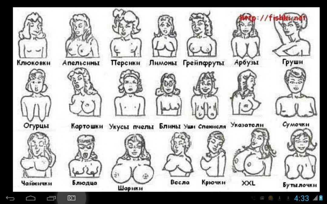 Сиськи разных форм и размеров