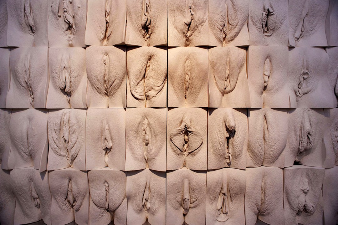 Красивая вульва княгиня