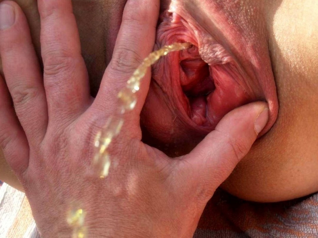 Хентай оплодотворение XRAY creampie