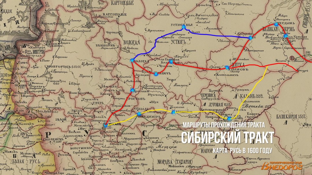 Катя Зубрицкая Холостяк