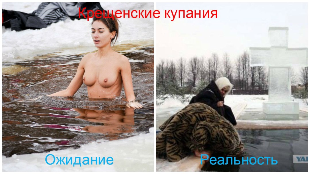Анастасия Сальченко морж