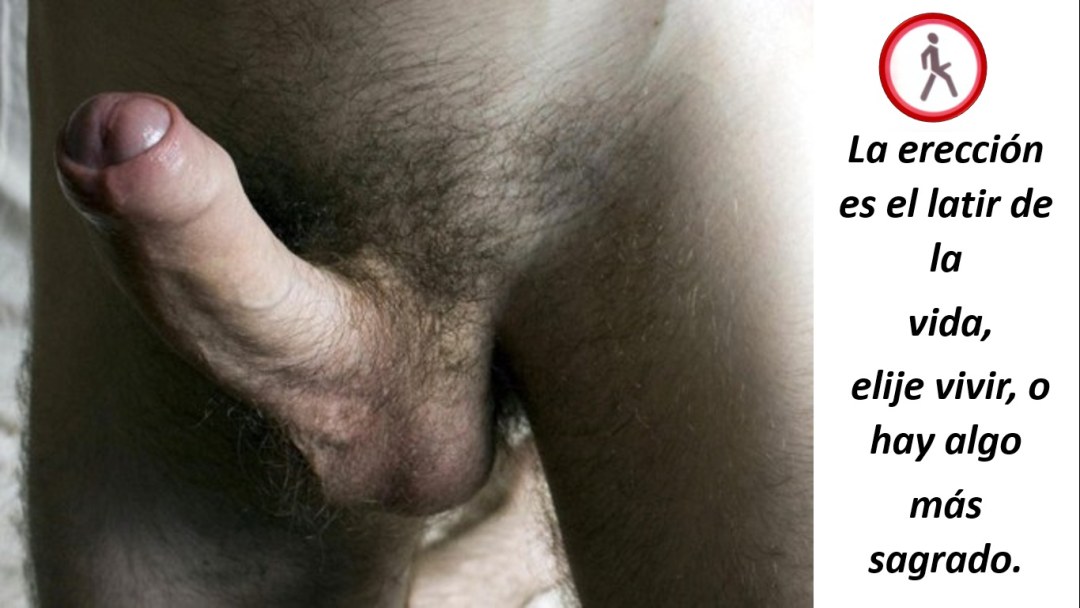 Огромный член в волосатой киске