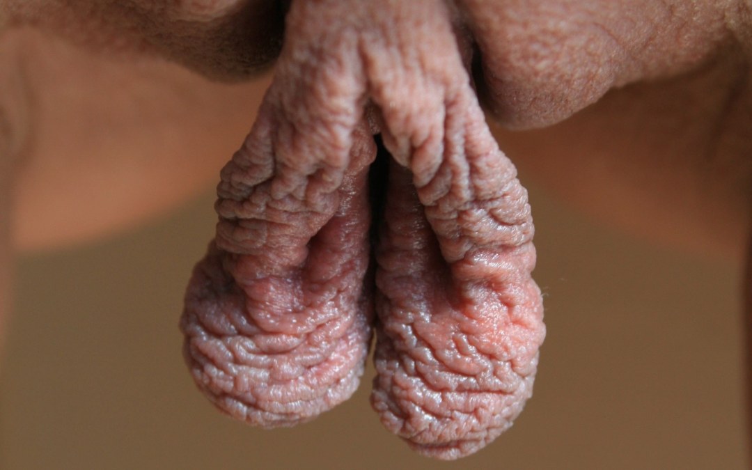 Порноактриса Кейси Джордан