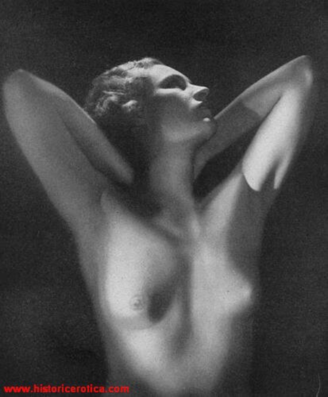 Рената Литвинова порнографии