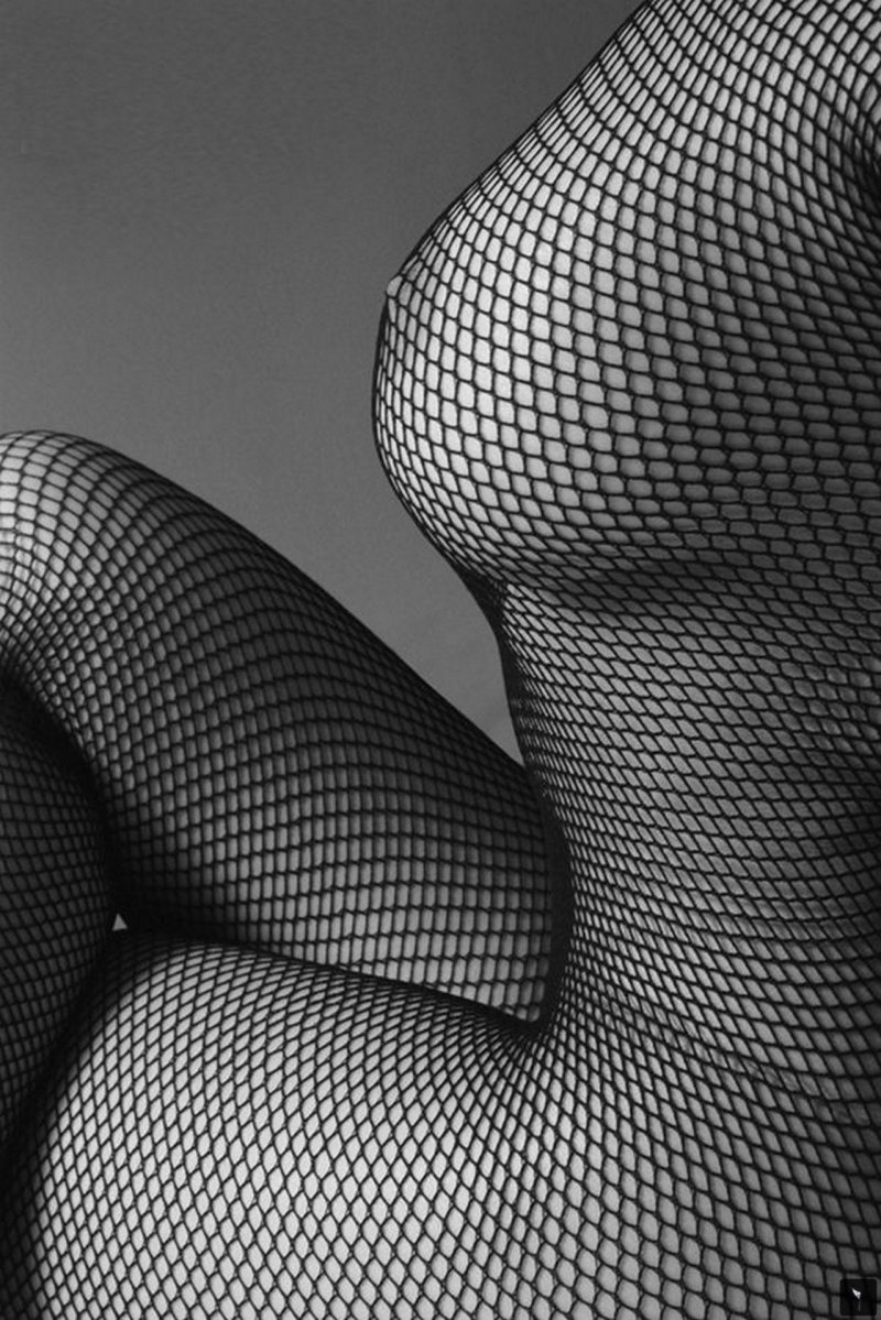 Боди Caprice "bodystocking c923"