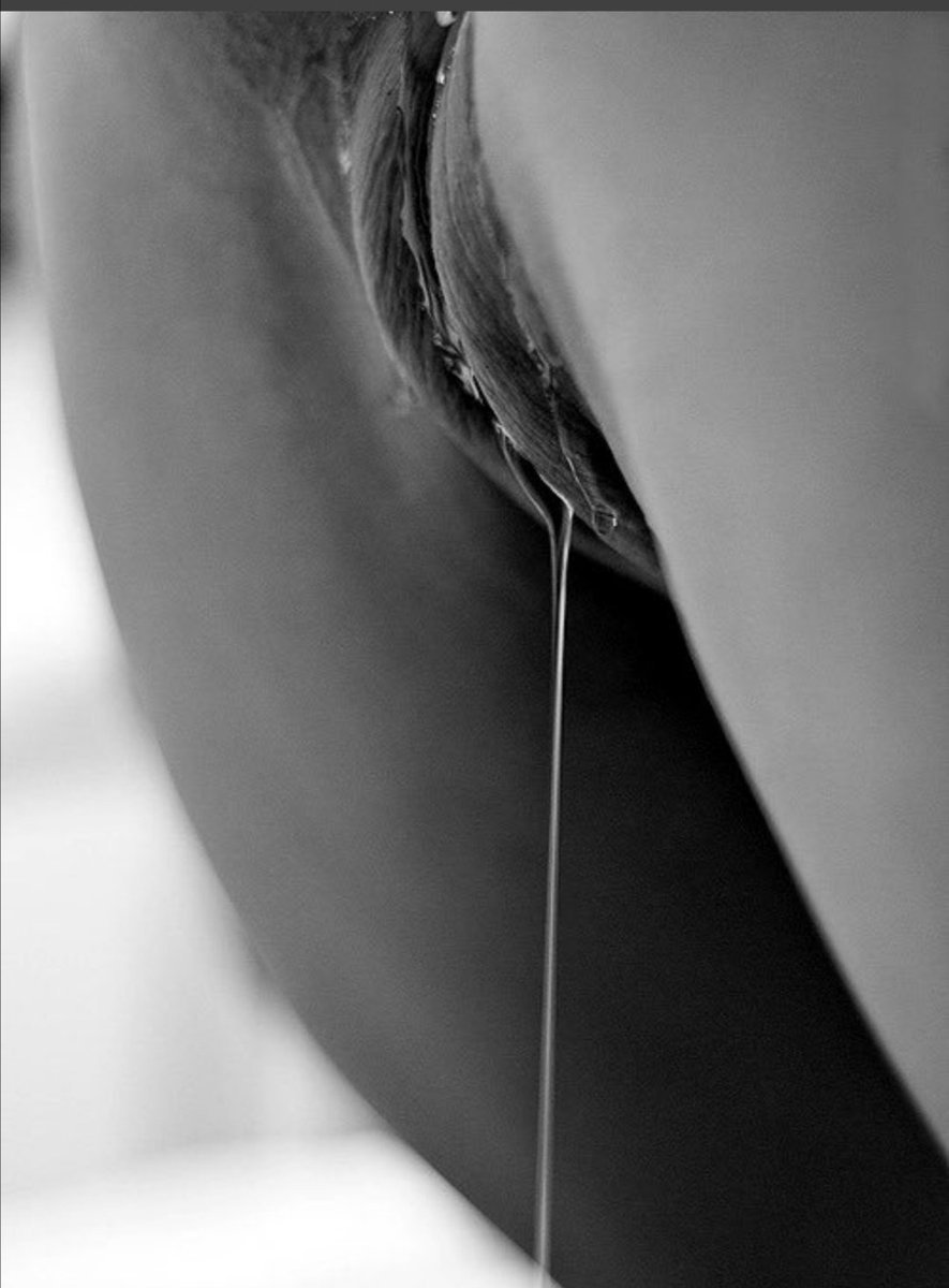 Красивый кунилингус крупным планом