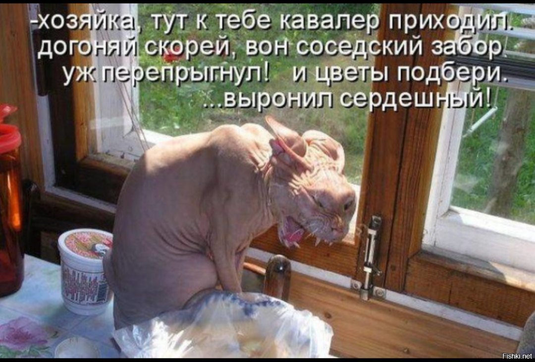 Купон на мозги