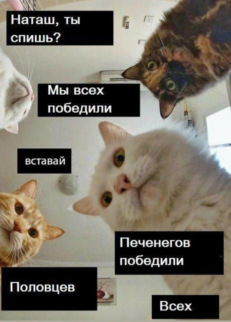 Корм мужской сбалансированный для крупных