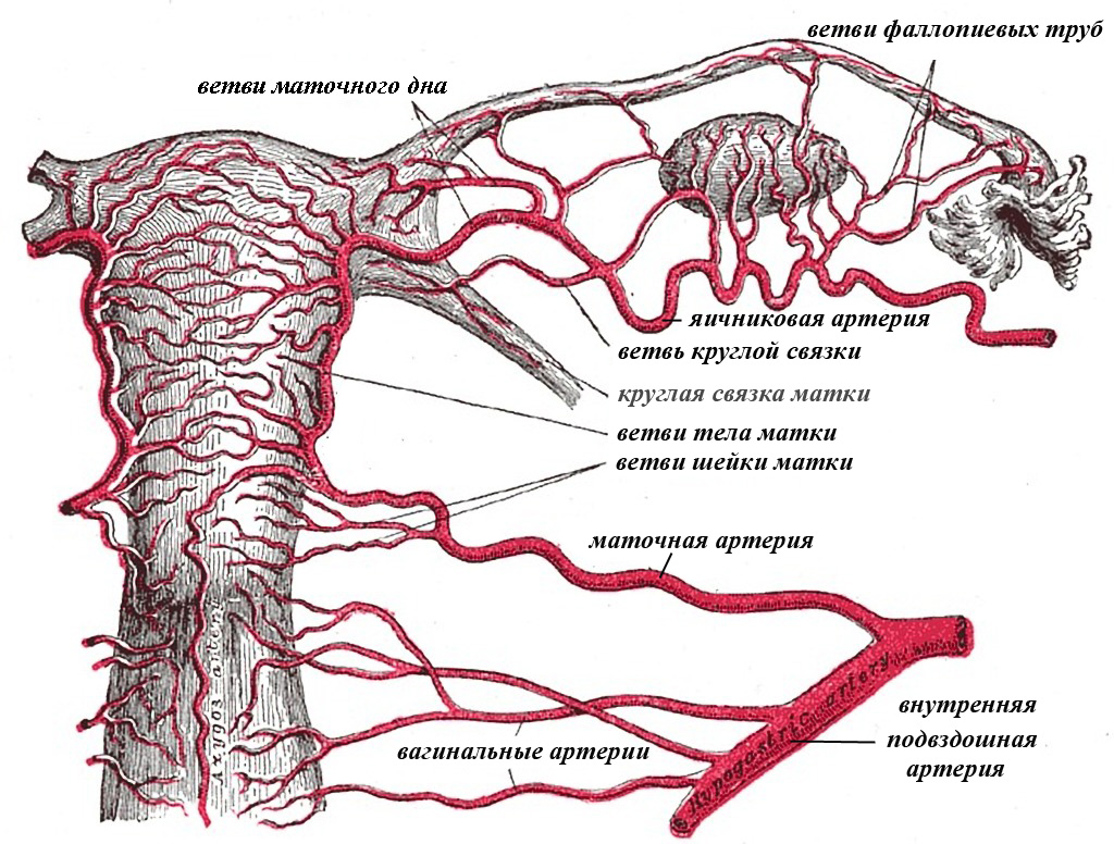 Верность (Режиссер Нигина Сайфуллаева, 2019).
