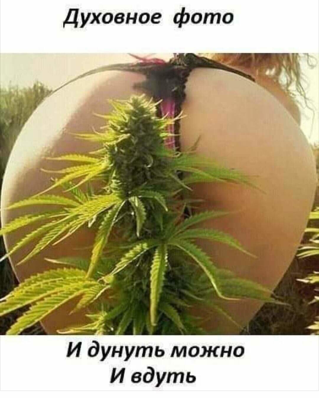 Марин Китагава ero