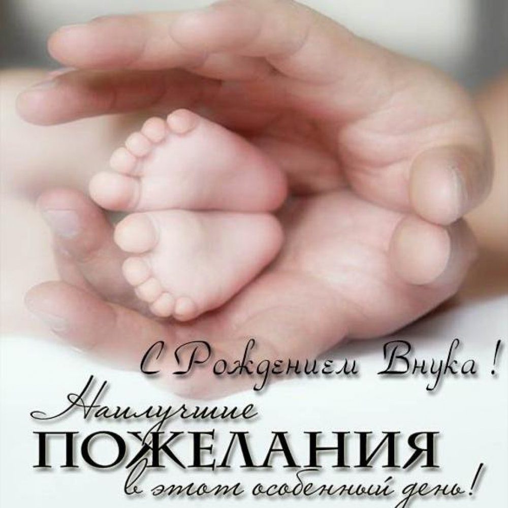 Цитаты про хиджаб