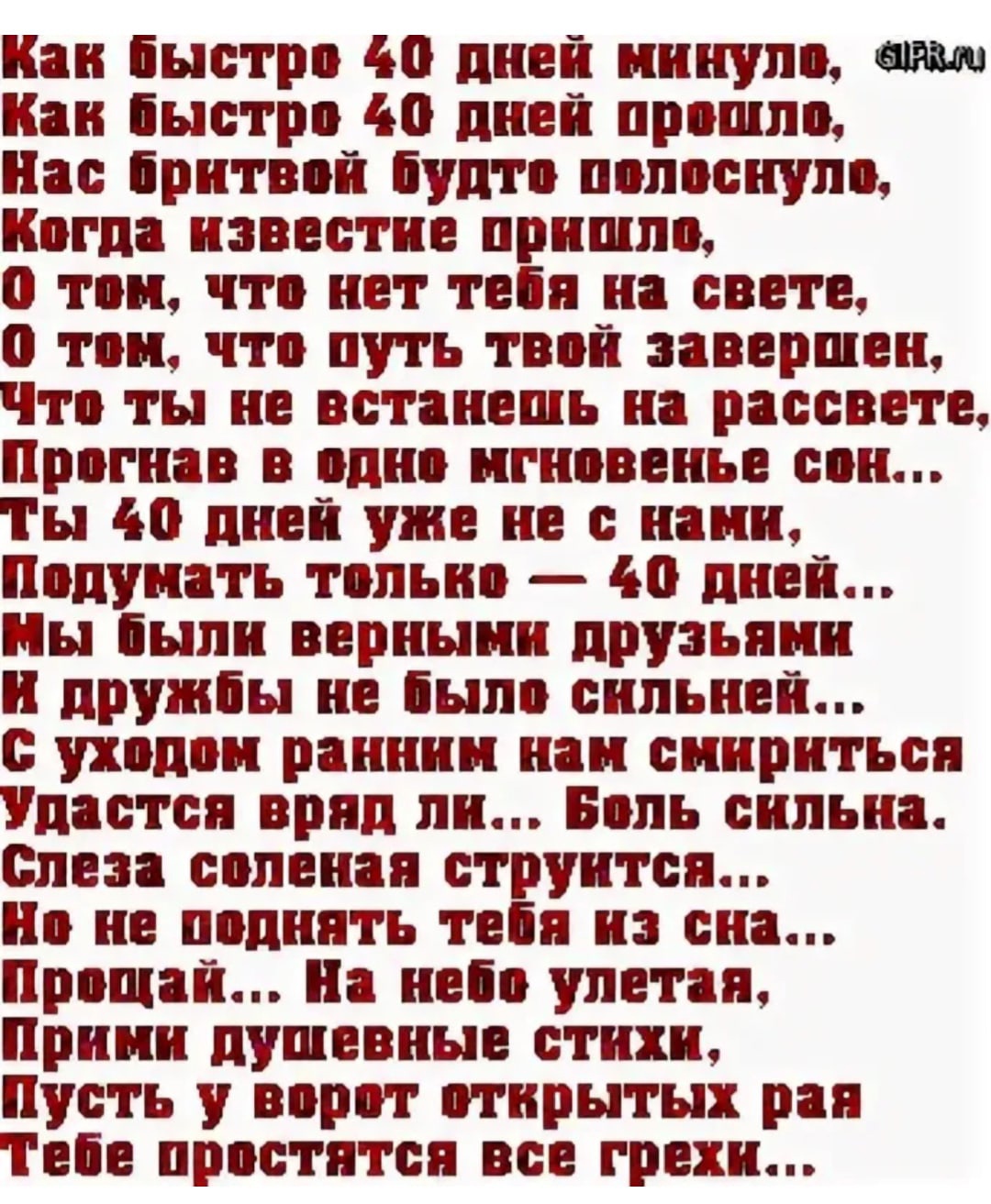 Цитаты мусульманки