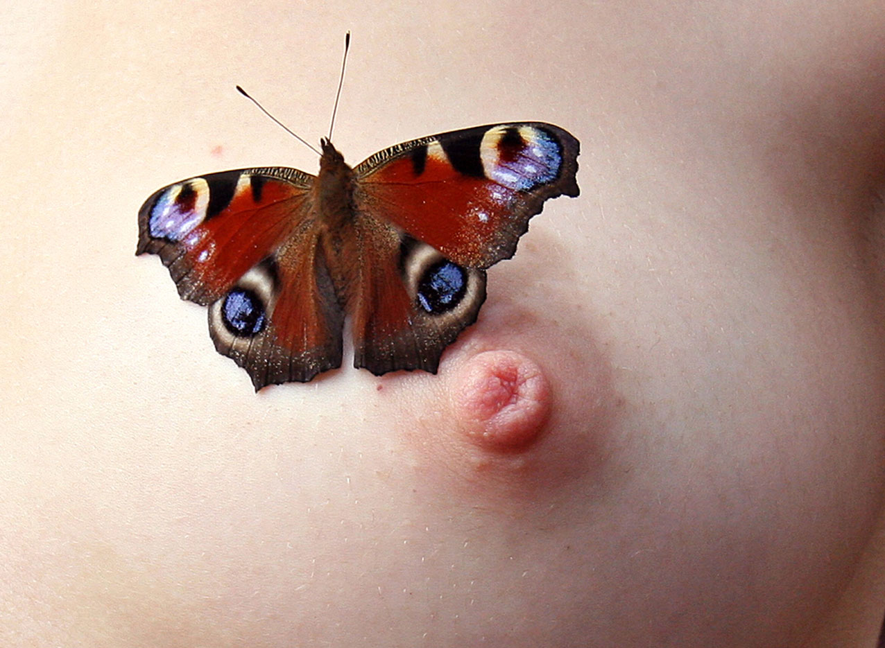 Chocolate butterfly nude