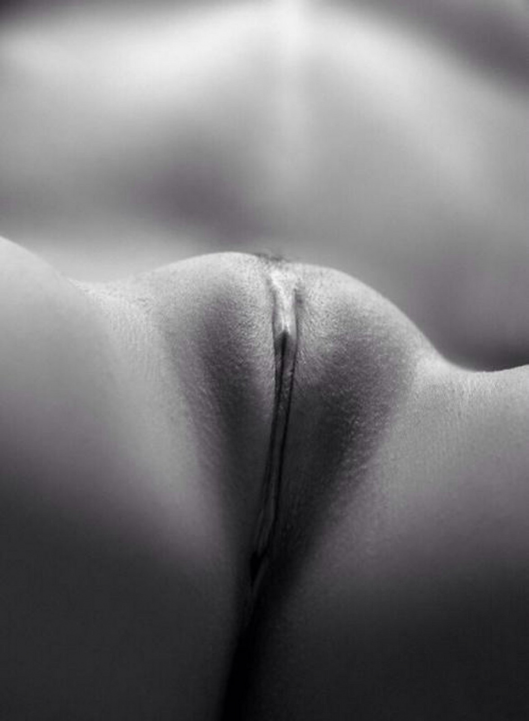 Красивые волосатые женские лобки