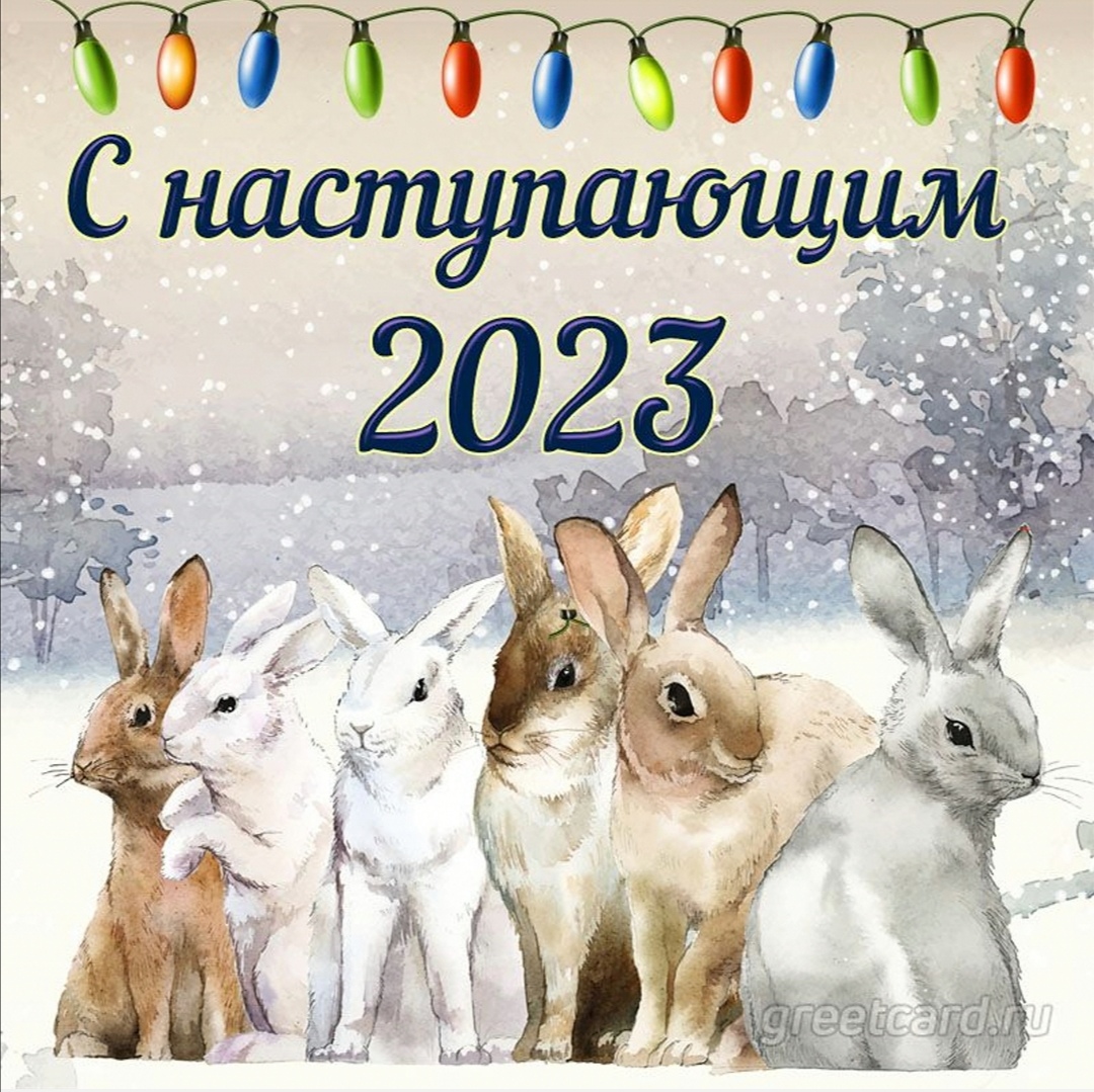 Конкурс красоты нудистов (86 фото)