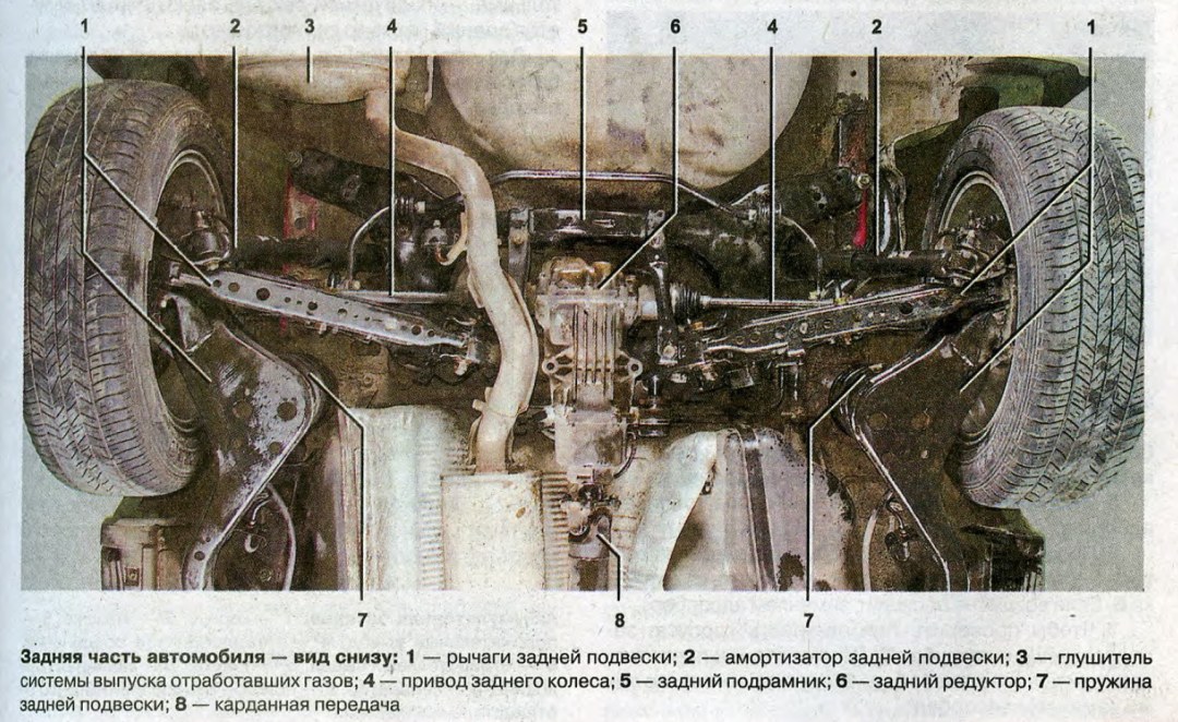 Красивые попки и пизденки