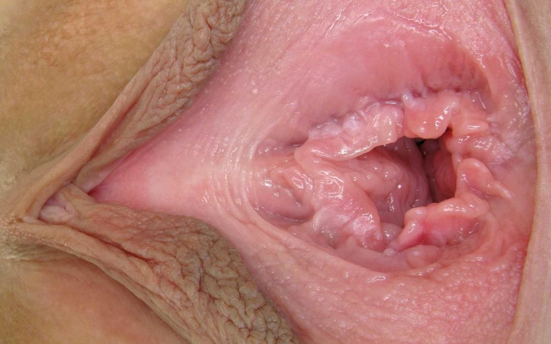 Женская вагина изнутри