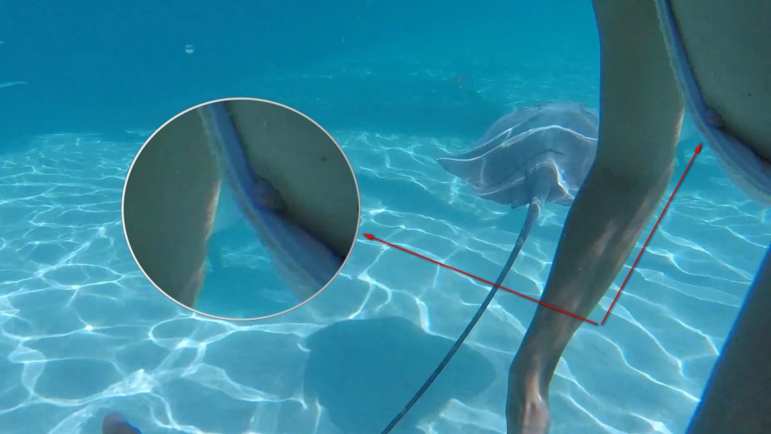 Мария Ивакова горячие