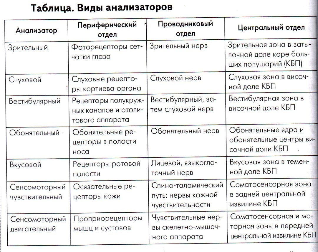 Тетрадь ученика