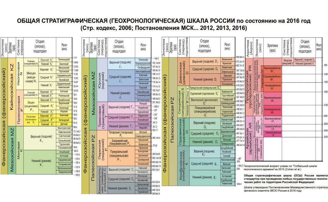 Женские ступни селфи