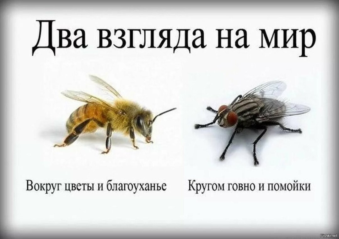 Позитивные надписи