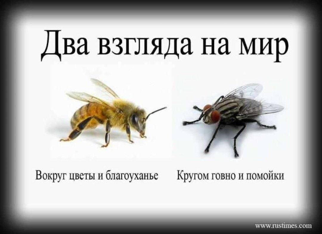 Конфуций цитаты и афоризмы