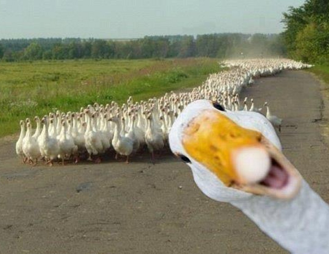 Сабнаутика Белоу зироу