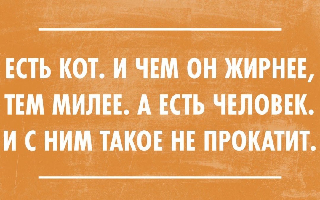 Прикольные цитаты про отношения