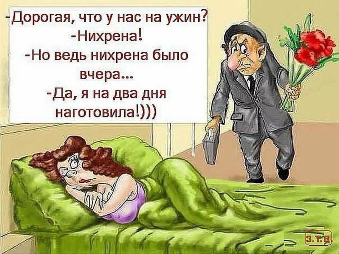 Наташа и коты