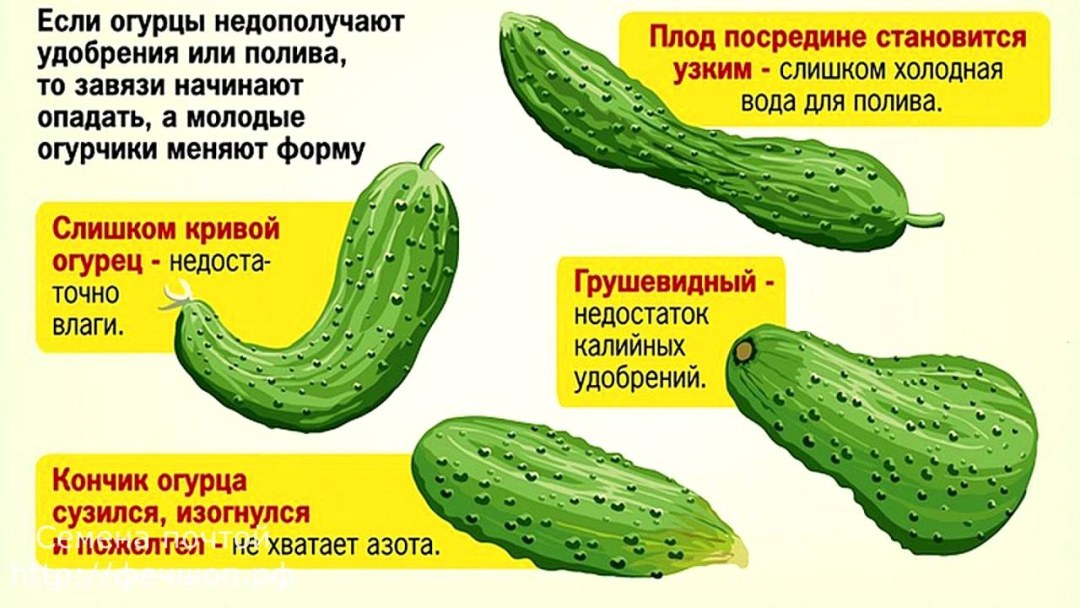 Надпись Порнхаб
