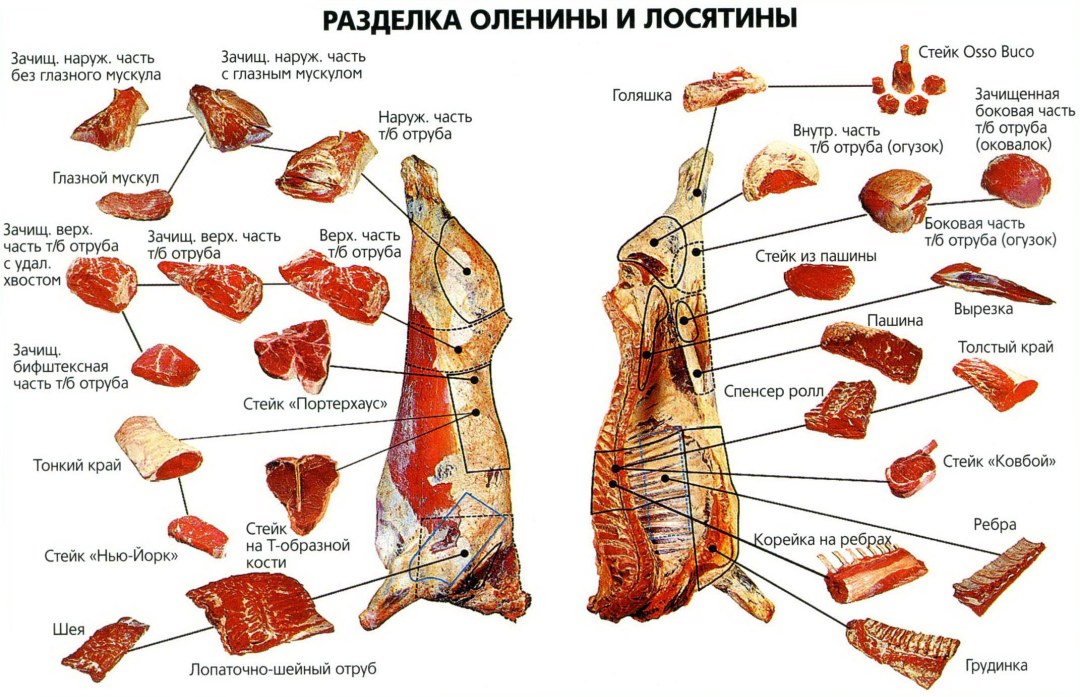 Арион Пушкин