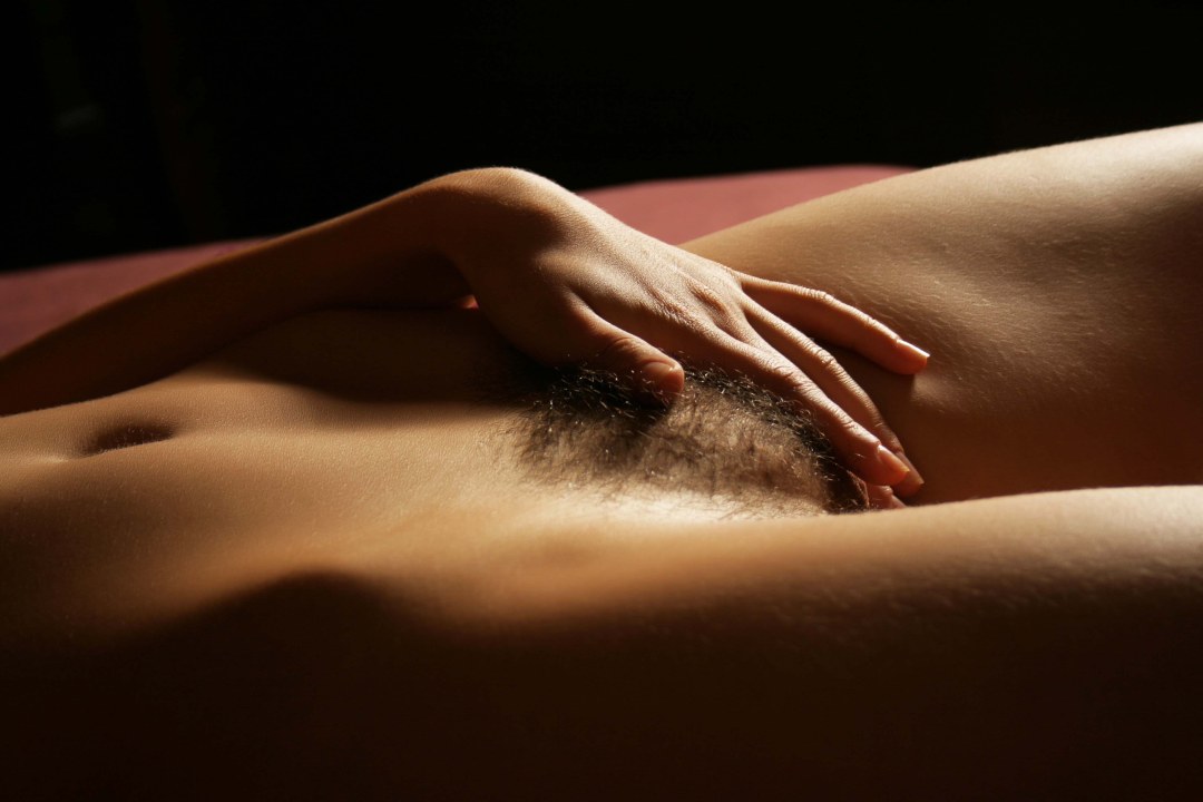 Бритая киска вид снизу