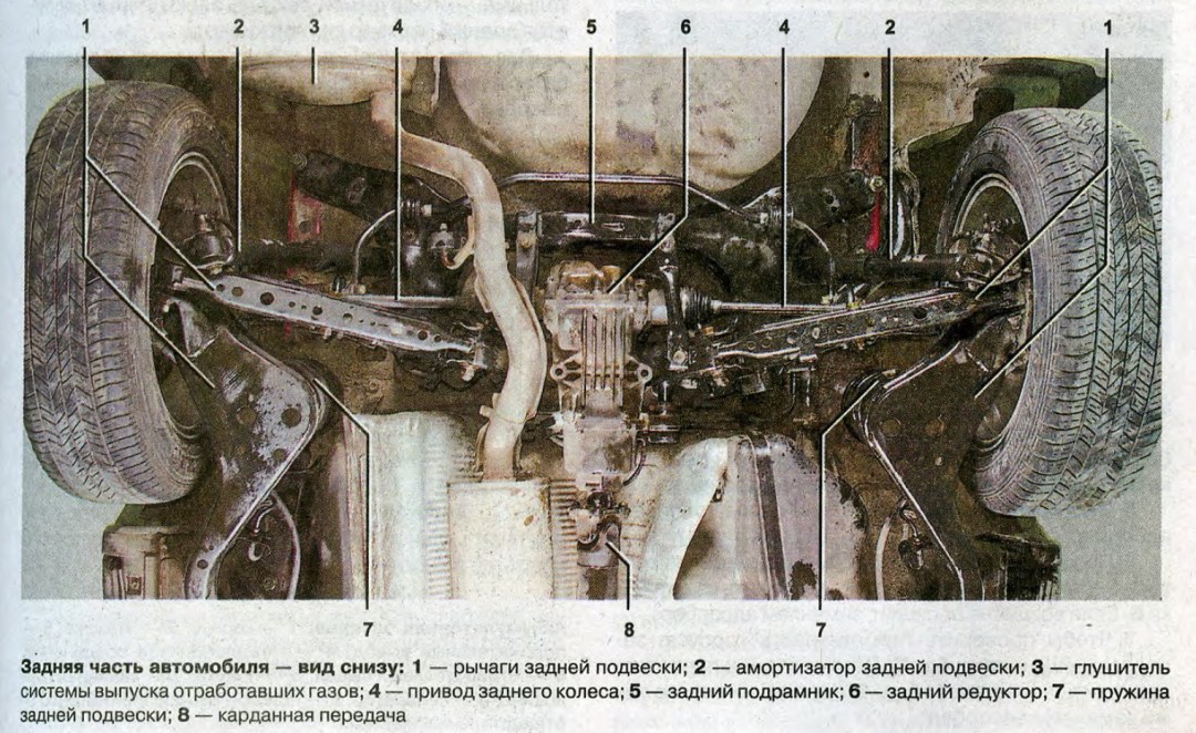 Мужской анал вид снизу
