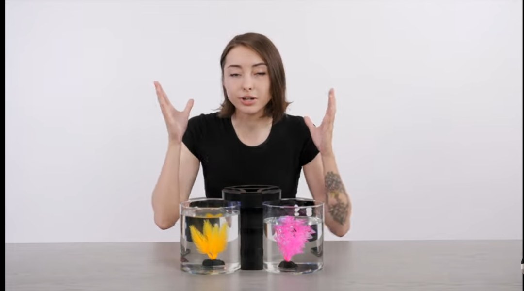 Наташа Шелягина