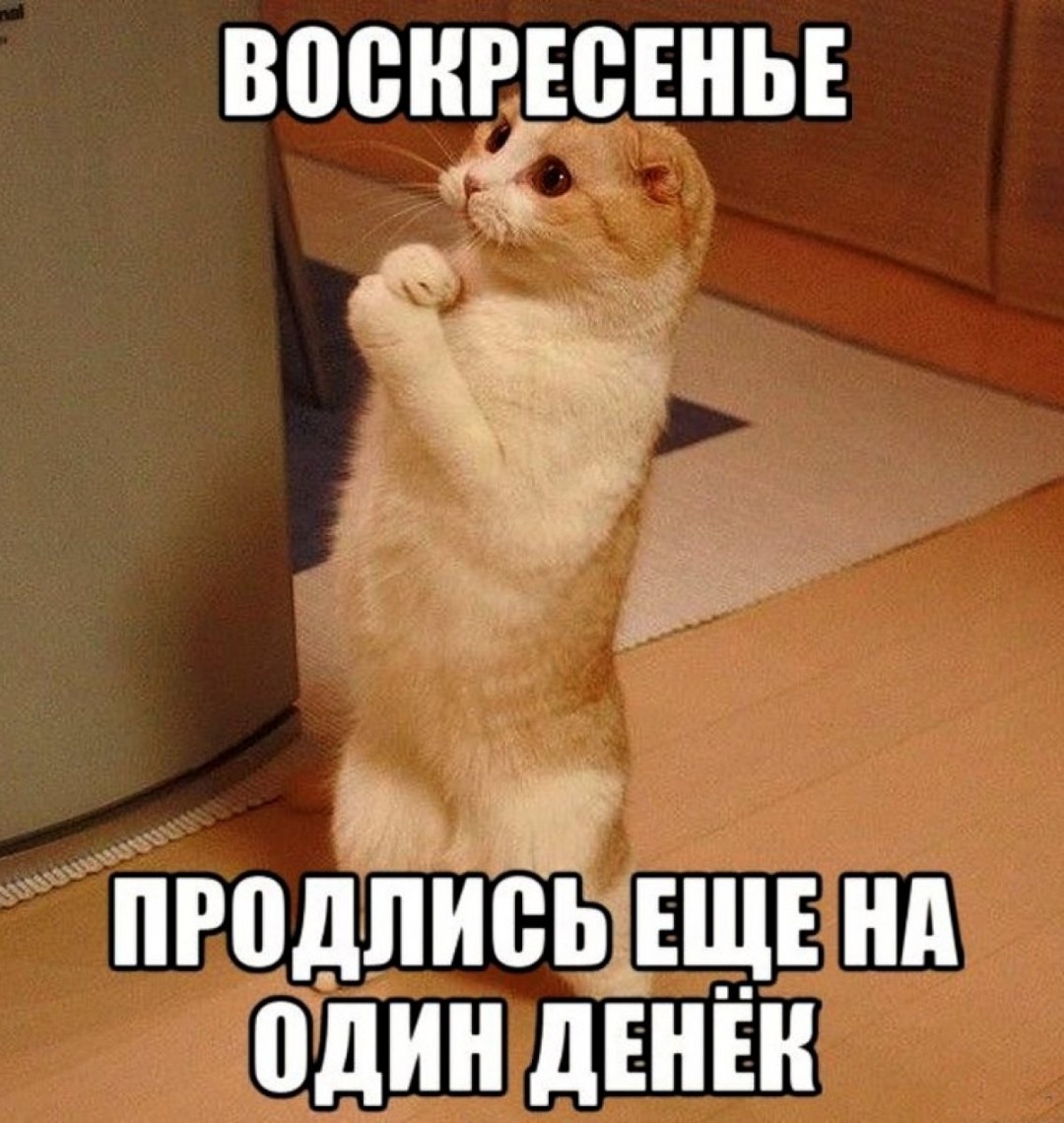 Образ для кубинской вечеринки