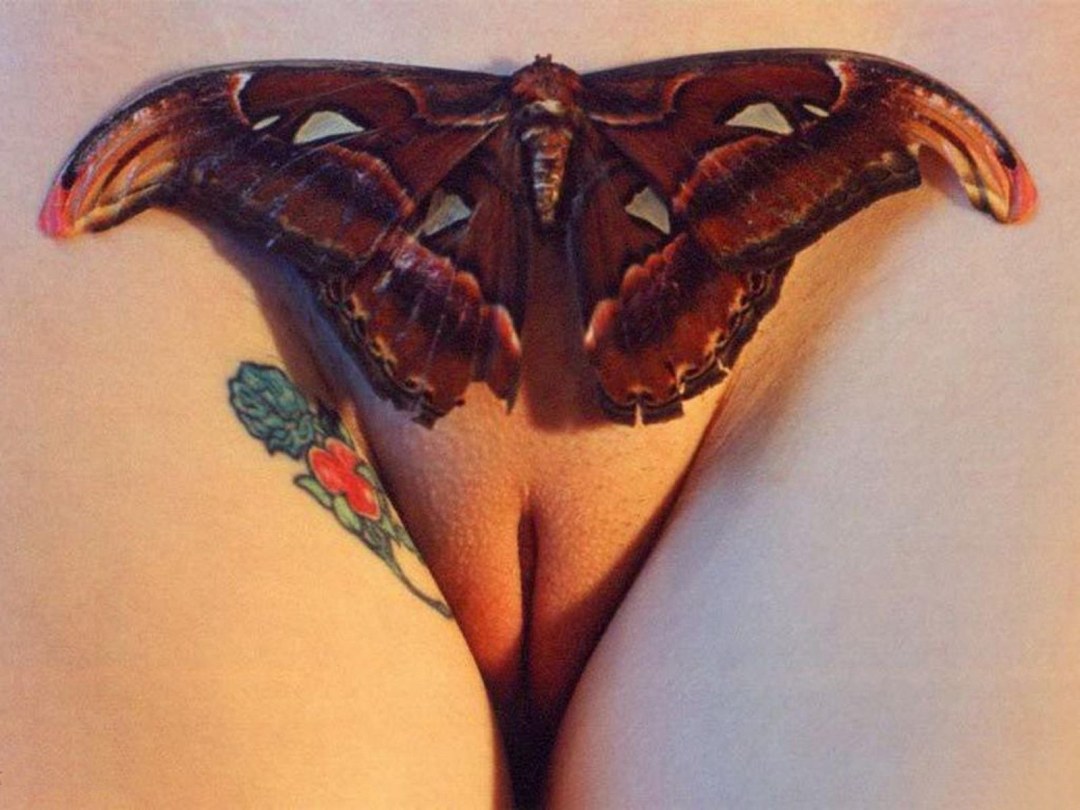 Тату на женских гениталиях