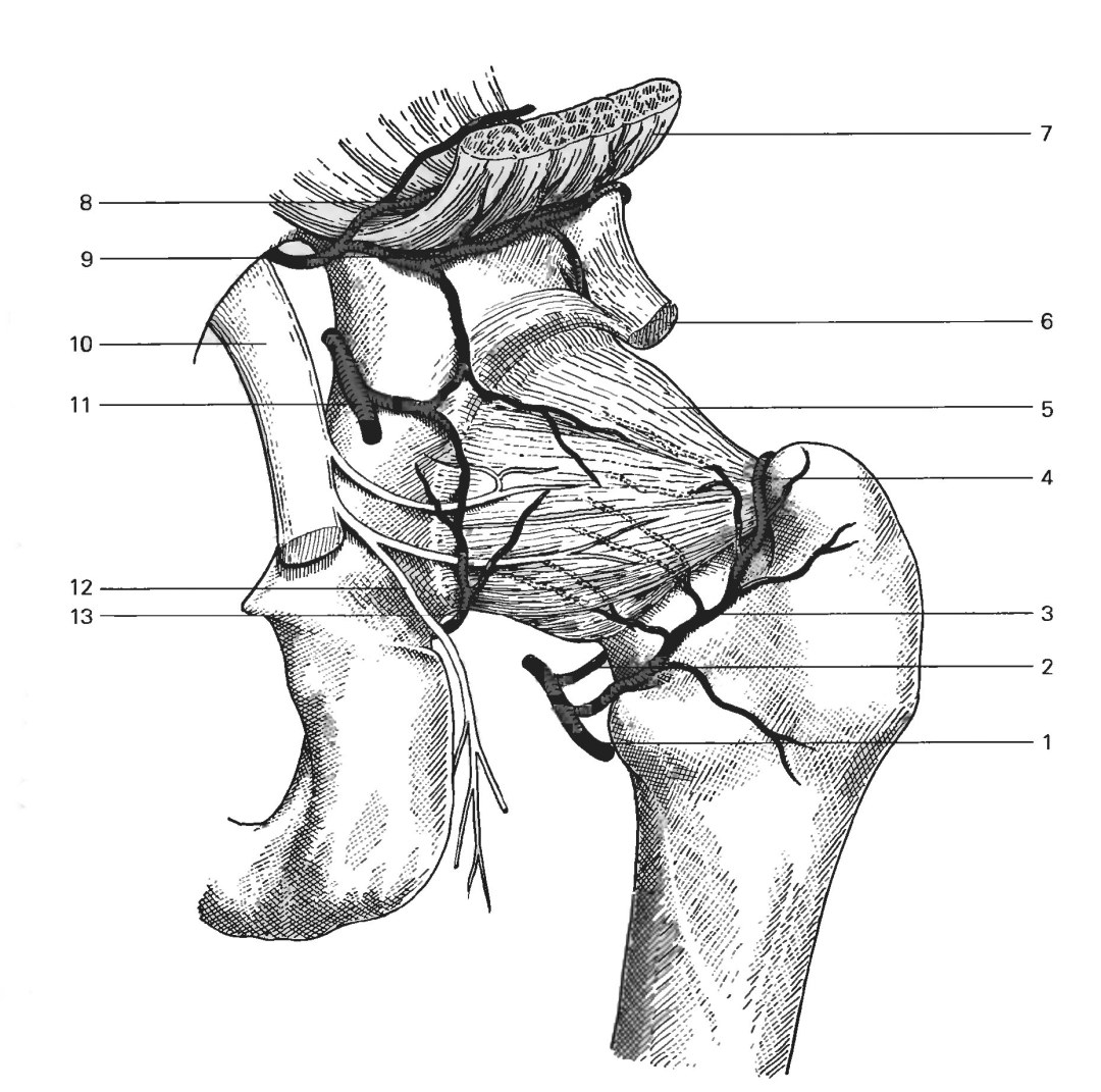 Красивые мужские задницы