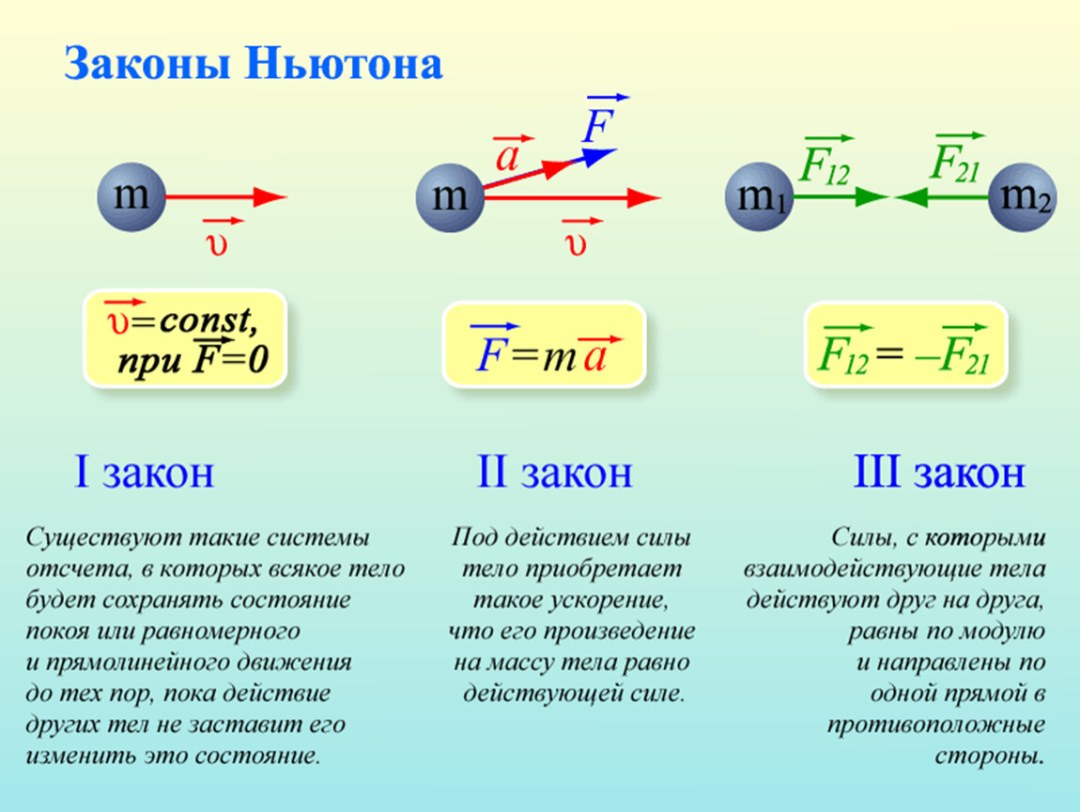 Эльвира Болгова в колготках