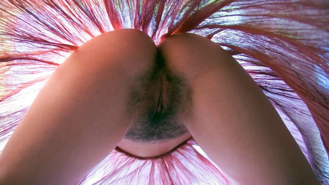 Волосатая вагина под юбкой