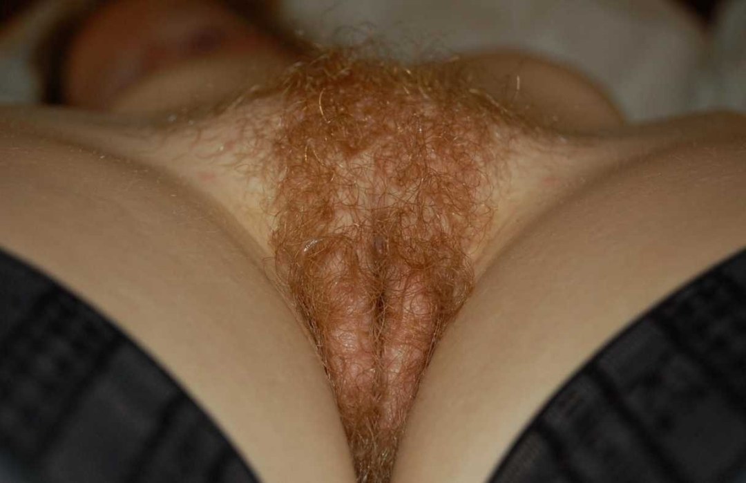 Волосатая вагина с рыжими волосами