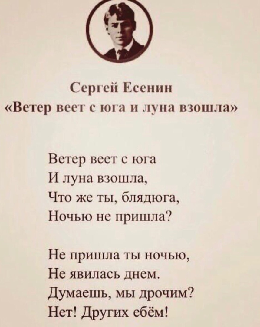Сергей Есенин стих ветер веет с Юга