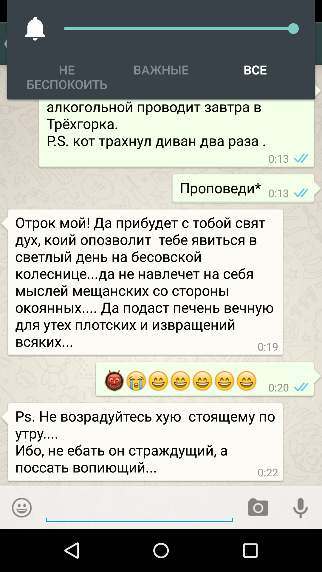 Спалила парня на переписке