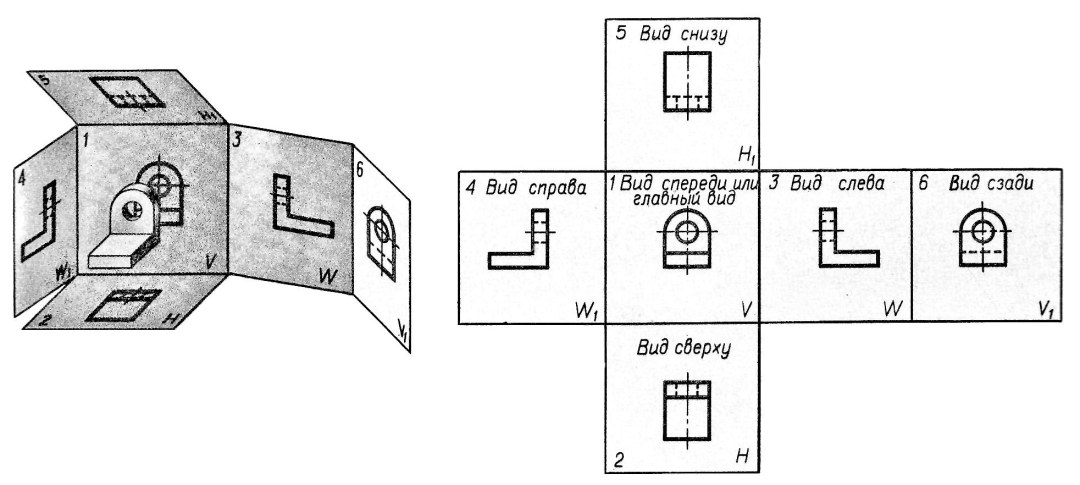 Пограничная линия таза анатомия