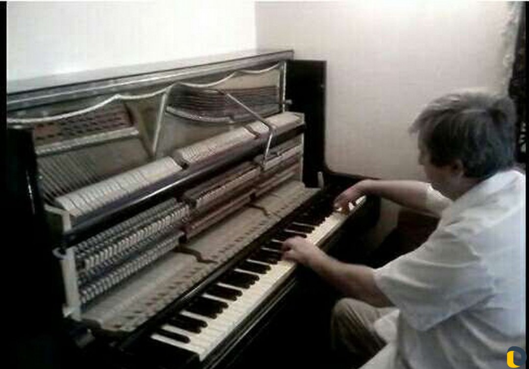 Девушка на рояле