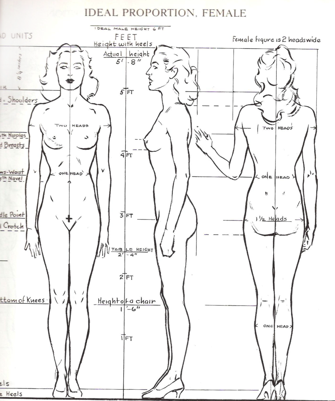 Лумис Эндрю "рисование фигуры"