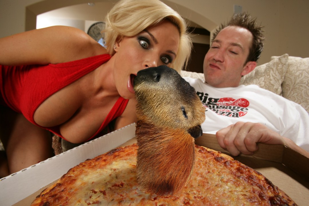 Доставщик пиццы бразерс