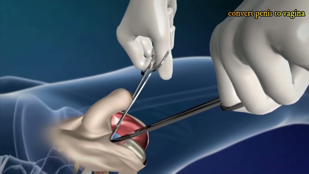 Девушки показывают клитор