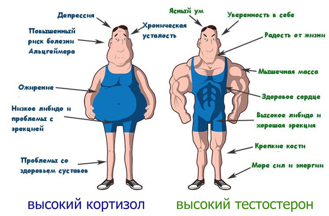 Элина Карякина в Нижнем белье