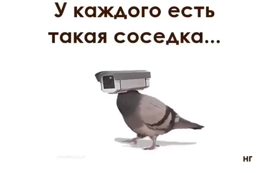 У каждого есть такая соседка