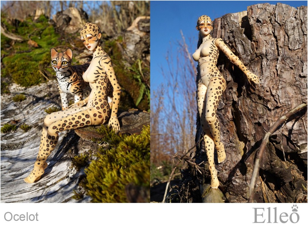 Адам Оцелот и ева